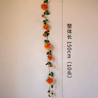 10 голов Золотого Замка Дама Цветок Тэн