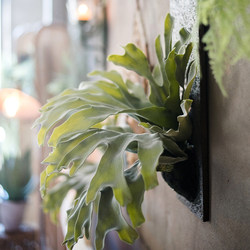 Nordic-Style Green Artificial Plant Decorative Painting, Large Fern with Deer Antlers, Tropical Green Plant Wall Hanging Landscape Painting