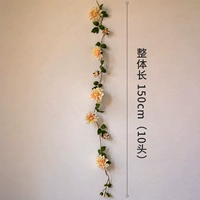 Цвет шампанского великолепный Hua Teng 10 Heads