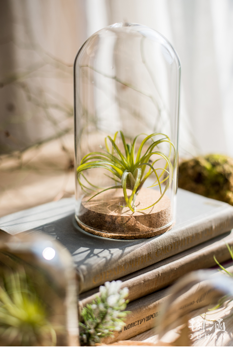 软 Nắp thủy tinh Cork Trang trí trang trí micro cảnh hoa khô mẫu búp bê búp bê chai quà tặng DIY cách trang trí phòng khách nhà vuông