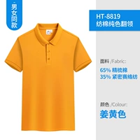 HT-8819 Куркума