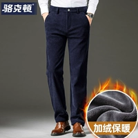 8209h сокровища синий [плюс бархат]