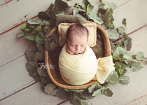 Newborn Photographic Props Graceland Designns Australian Original Diving Rubber Background Blanket Cushion