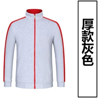 309 толстый серый