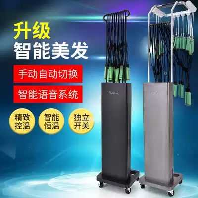 New product hanging plate dual-mode intelligent digital perm hair hot machine hair salon dual-core system perm hair salon