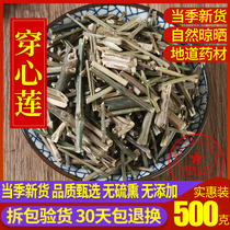 Chinese herbal medicine shop Andrographis paniculata Andrographis Chinese herbal medicine supply bitter gall grass square lotus 500g