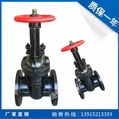 Z41T-16 10 copper cast iron flange rising stem gate valve DN50 65 100 200 400 150 125