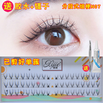 N07 Fake Eyelash Womens Single Cluster Sectional Mill Tip Natural Emulation Daily Makeup Artist Special New Lady Makeup s3 has been cut