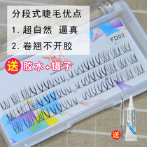 Menglu FD02 Segmented false eyelashes female natural simulation sharpening curl single cluster graft makeup artist