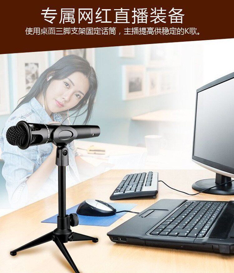 E300 Microphone Tripod National K-song Douyin Kuaishou Volcano Live Microphone Desktop Bracket Outdoor Portable