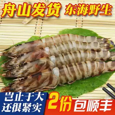 Zhoushan wild fresh frozen bamboo shrimp nine-spotted shrimp East China Sea aquatic Tiger Japanese prawn shrimp 10-12