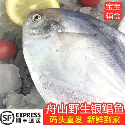 Zhoushan wild white Pomfret liquid nitrogen frozen Donghai fishing ground aquatic silver pomfret flat fish mirror fish Changyu 1kg 3-4