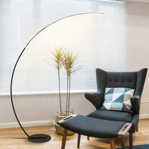 Nordic ins Wind C Type of floor lamp Living room minimalist sofa modern book room Bedroom remote control arched net red fishing light