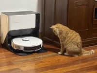 G10 Spot [Guancang прямые волосы]