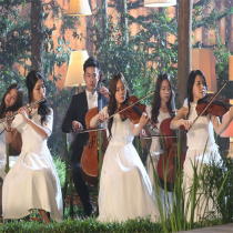 Sichuan Wedding Performance Team Sax Violin New Folk Music Groom Bridal Bridal Bridal Escort Singers Business