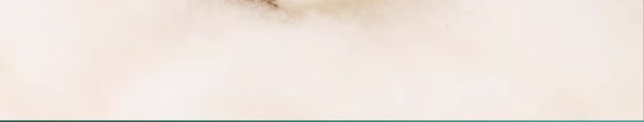 南京同仁堂 美国  蒸汽眼罩 去黑眼圈 艾草护眼贴 艾灸眼罩 睡眠热敷眼罩 缓解疲劳 去黑眼圈  5片/盒