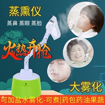 Nose hot and cold steam spray machine dry eye smoker eye steamer childrens Chinese herbal fumigation pot hydrating facial steamer