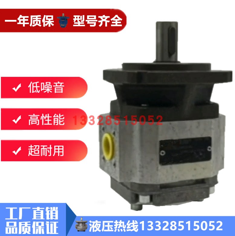 Gear Oil Pump Pgh2/Pgh3/Pgh4 Hydraulic Pump Pgh4-21/050Re11Vu2 2X 32 30 40 Gear Oil Pump Pgh2/Pgh3/Pgh4 Hydraulic Pump Pgh4-21/050Re11Vu2 2X 32 30 40