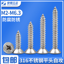 (M2-M6 3) 316 rust steel cross flat head self-tapping screw head wood screws national standard self-tapping nail