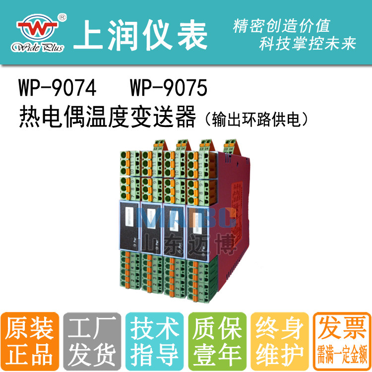 Shangrun Instrument WP-9074 WP-9075 K E S B R T N J W Thermocouple Temperature Transmitter