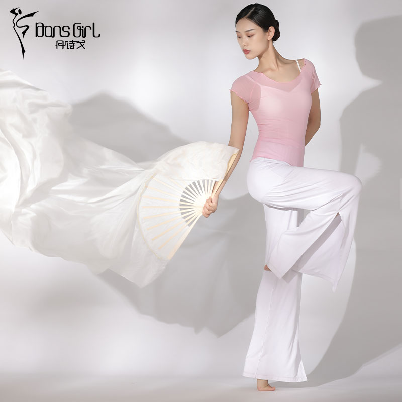 Dansche Stretch Network Sweater Dance Dress Ballet Gymnastics Apparel Classical Dance Short Sleeve Shirt