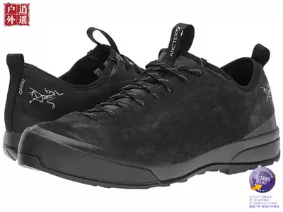 Arcteryx Archaeopteryx Acrux SL Leather GTX men hiking shoes 21140