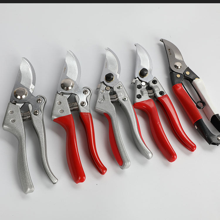 Pruner fruit tree pruning twigs gardening cutting branches Pruning Scissors Floral Tools to repair coarse branches The garden Home Vigorous Clippers