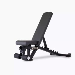 Repforce Ab3000 Version 2.0 Dumbbell Bench Bench Press Bench