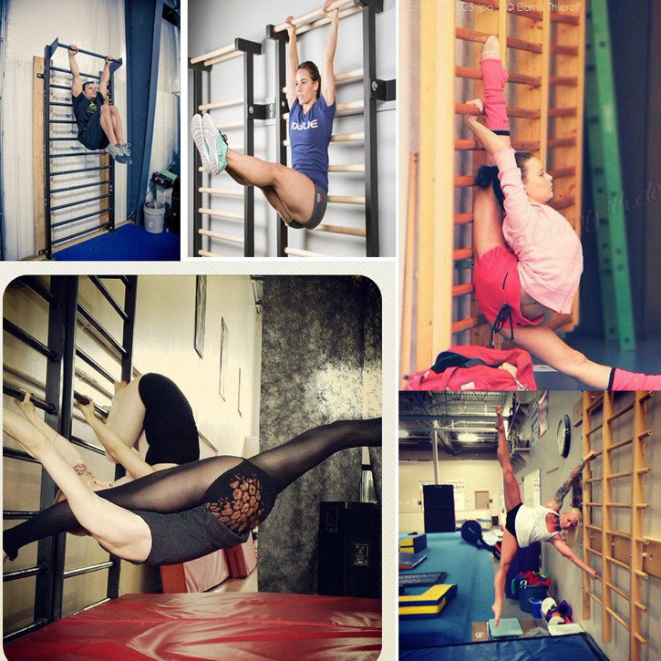 Брусья 单杠  双杠 康复架 肋排架 训练架引体向上健身房私教款 LT STRENGTH