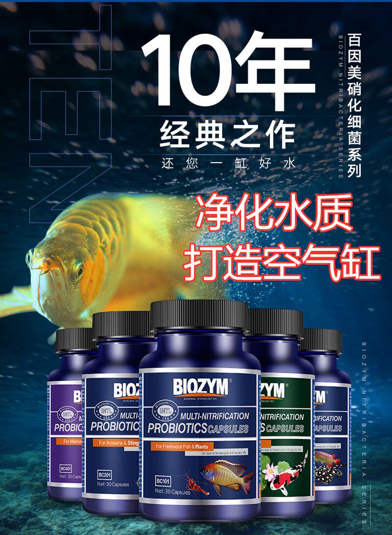 100 Insamified bacterial fish tank with water-purifying aqua water group Digestive Bacteria Capsule Live Bacteria Dry Powder Water Quality Stabilizers