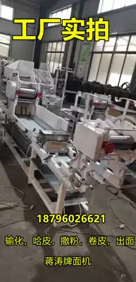Fully automatic All Harp leather roll skin powder out automatic cut wet noodle machine dry noodle machine All