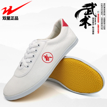 Twin Star Martial Arts Shoes Men And Women Tai Chi Canvas Sneakers Beef Tendon Bottom Children Martial Arts Practice Shoes Performance Shoes