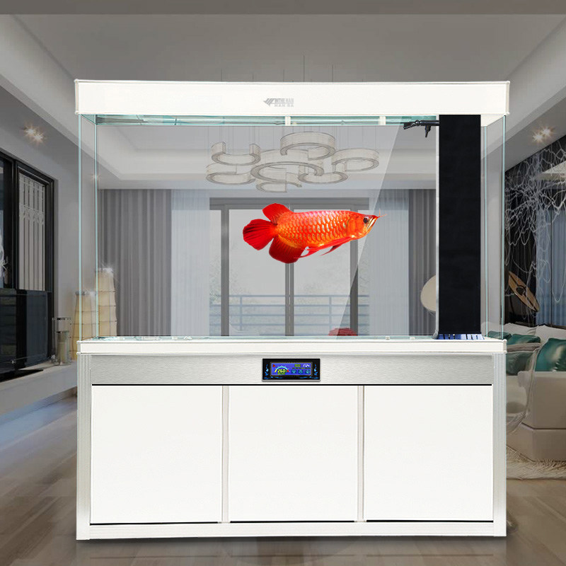 Hanbat Super White Glass Entrance Fish Tank Aquarium Feng Shui