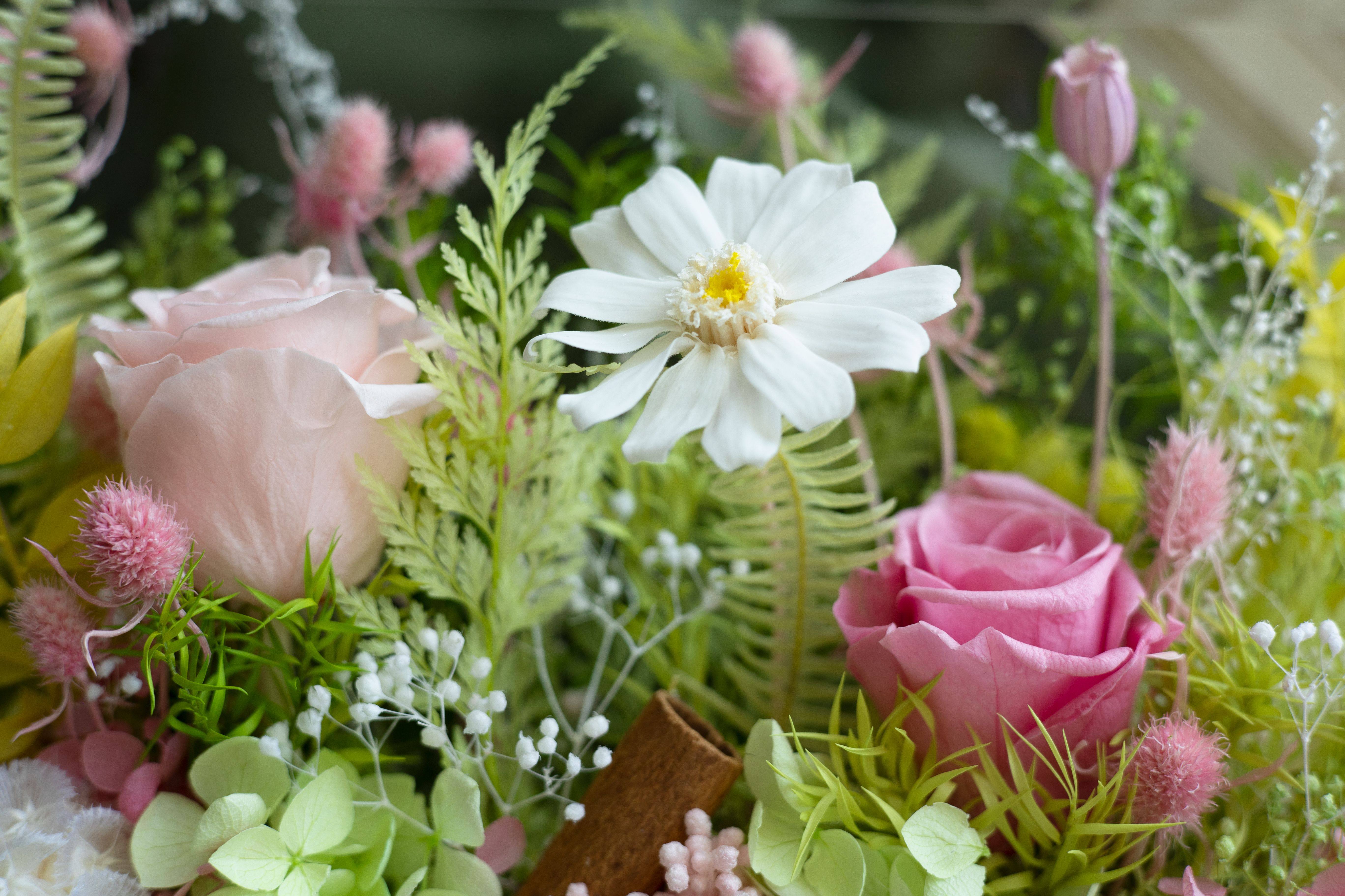 Close-up of preserved roses and greenery inside an acrylic display box