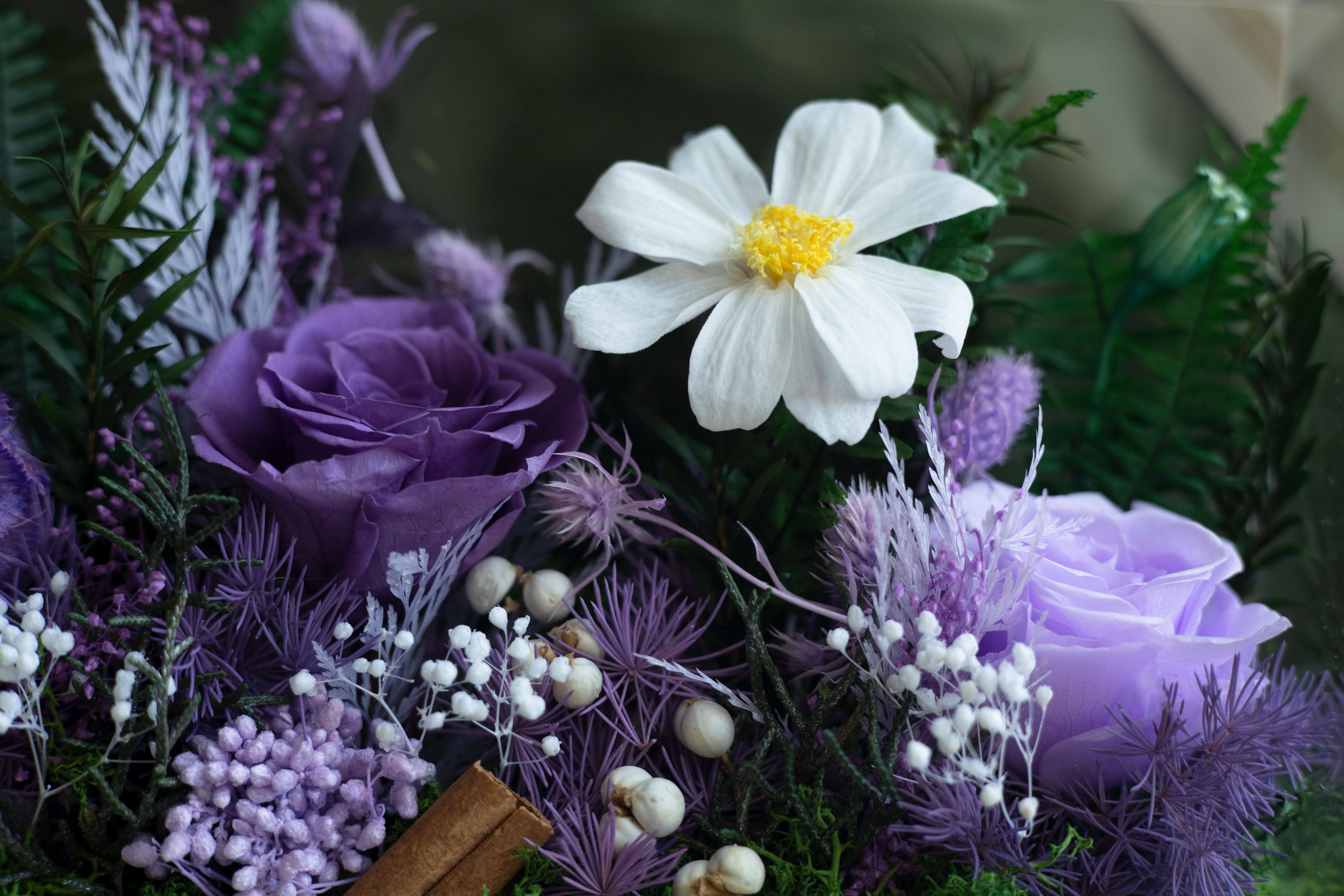 Purple preserved roses and florals arranged in a display box for an elegant palette