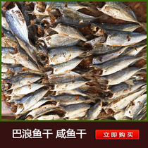 Wenzhou specialty of dried Balang fish fishermen self-drying 2kg of salty fish dried dried fish small sea fish seafood dried goods