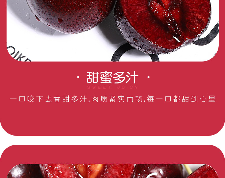 2019_09.jpg