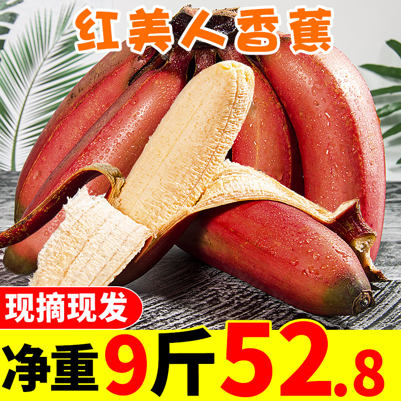 Red Beauty Banana Fresh 9 catties When season fruit Little Shangjiao red peel plantain rice banana should be sold in whole box for 10