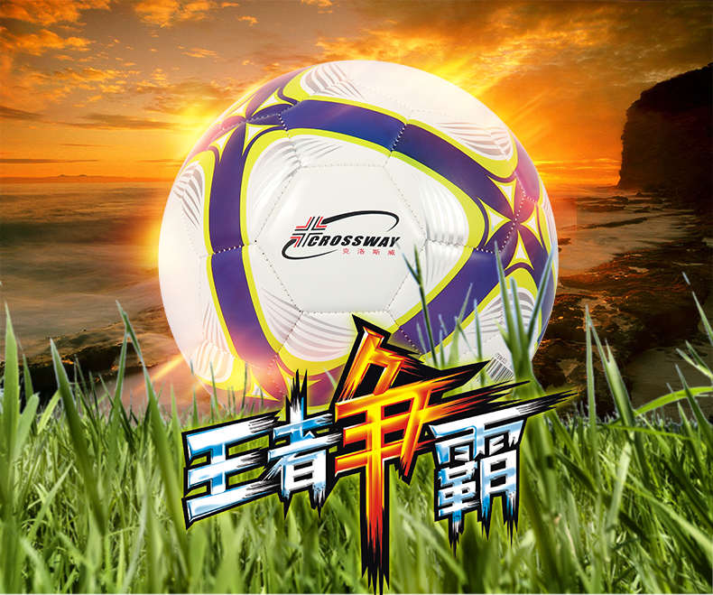 Ballon de football - Ref 6729 Image 3