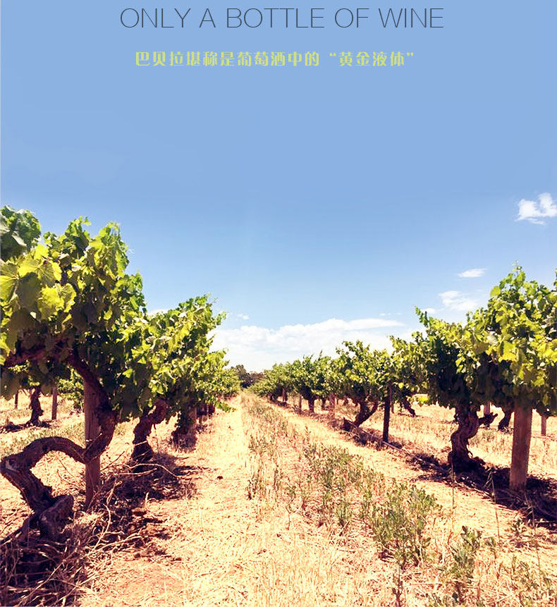 意大利进口 LEROVOLE DOCG级 巴贝拉干红 750ml*2支 礼盒装 图8