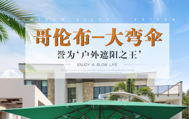 Колумбус Солнце зонтик чернила green_01.jpg