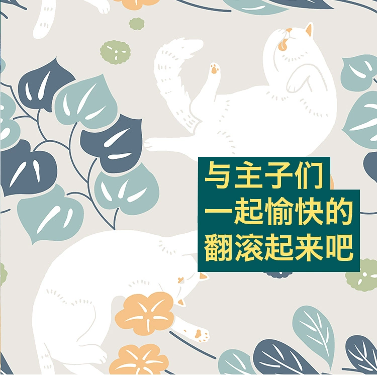 [Lucky] mèo con mèo hai mặt in flannel chăn tấm thảm như Mo bão bão meo mùa hè máy lạnh chăn giải trí - Ném / Chăn chăn nỉ cho bé
