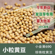 Northeast small-grain soybean 500g extremely small Pearl old variety soybean soybean natto hair bean sprouts small golden yellow 690