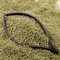 Northeast green millet Jilin green millet month rice baby nutritious rice grains 500g