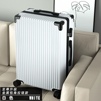 Усовершенствованная металлическая угловая цепочка-молния Supreme 𫔀-Белый