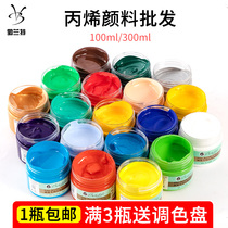 Acrylic pigment set hand-painted graffiti wall painting textile T-shirt waterproof painting shoes painted acrylic drawing beginners