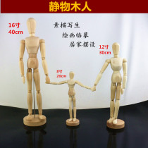 Comic 12 inch 20cm human body structure Model 16 inch wooden man 30cm art sketch ornaments wooden joint doll