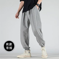 Серые лучи [осень]