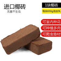 Кокосовая кирпичная установка