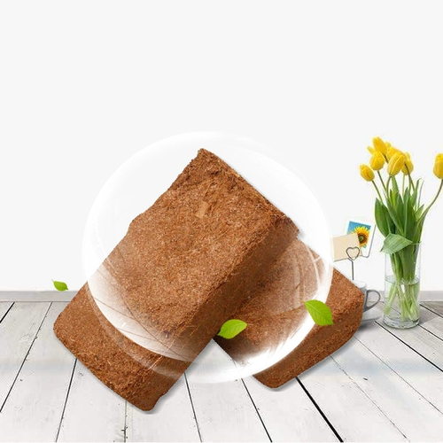 Сочные органические почвенные домашние животные Coconut Coconat Plaintive Кокосовая порошковая кирпичная орхидея кокосовая почва кокосовая кирпичная стерильная почва